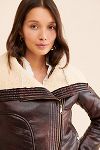 Thumbnail View 3: Bernardo Chocolate Moto Jacket