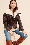 Thumbnail View 1: Bernardo Chocolate Moto Jacket