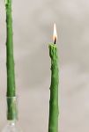 Thumbnail View 4: Happy Organics Asparagus Beeswax Tapers, Set of 2