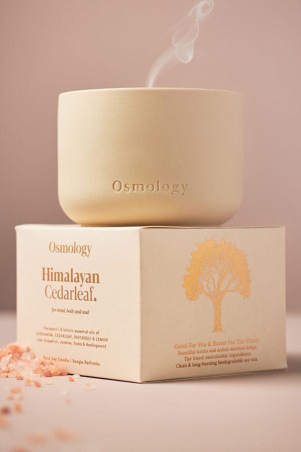 Slide View: 1: Osmology Himalayan Cedarleaf Boxed Candle