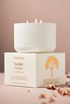 Thumbnail View 1: Osmology Nordic Cedar Boxed Candle