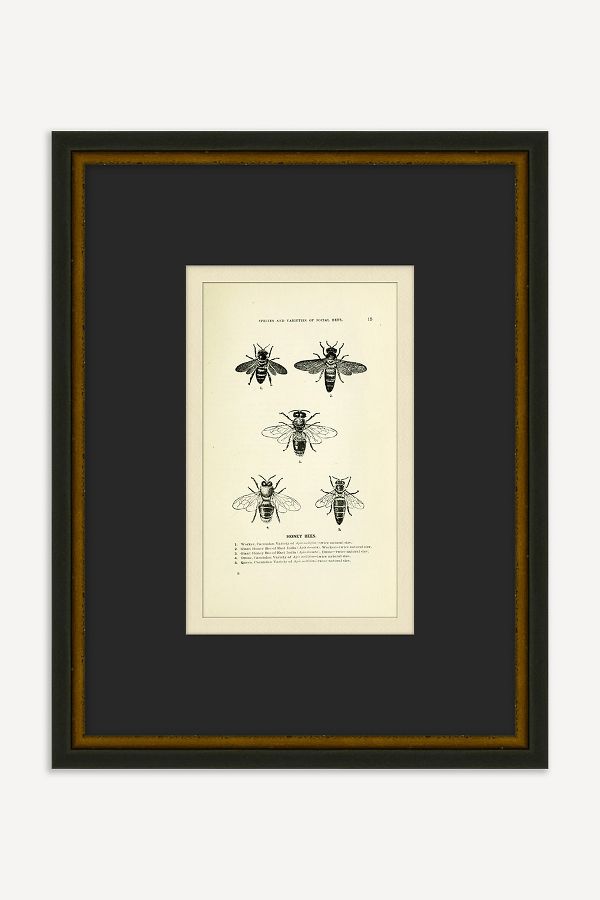 Slide View: 1: Bee's Knees Wall Art