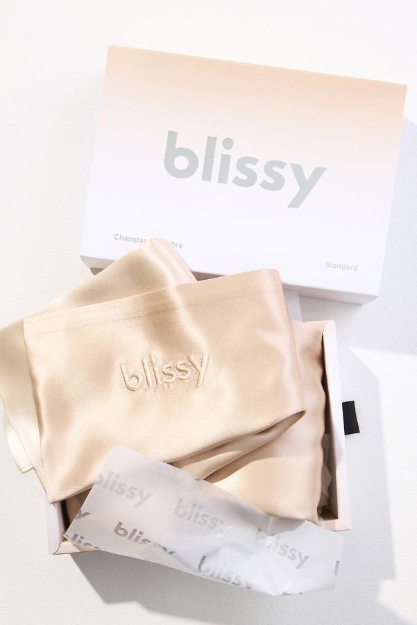 Slide View: 1: Blissy Ombré Collection Silk Pillowcase