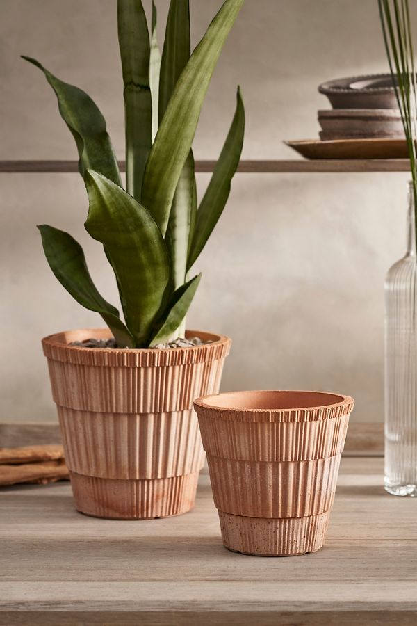 Slide View: 1: Bergs Atlas Terracotta Pot + Saucer Set