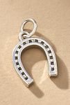 Thumbnail View 1: Lucky Horseshoe Jewelry Charm