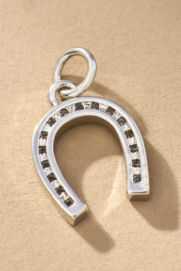 Slide View: 1: Lucky Horseshoe Jewelry Charm