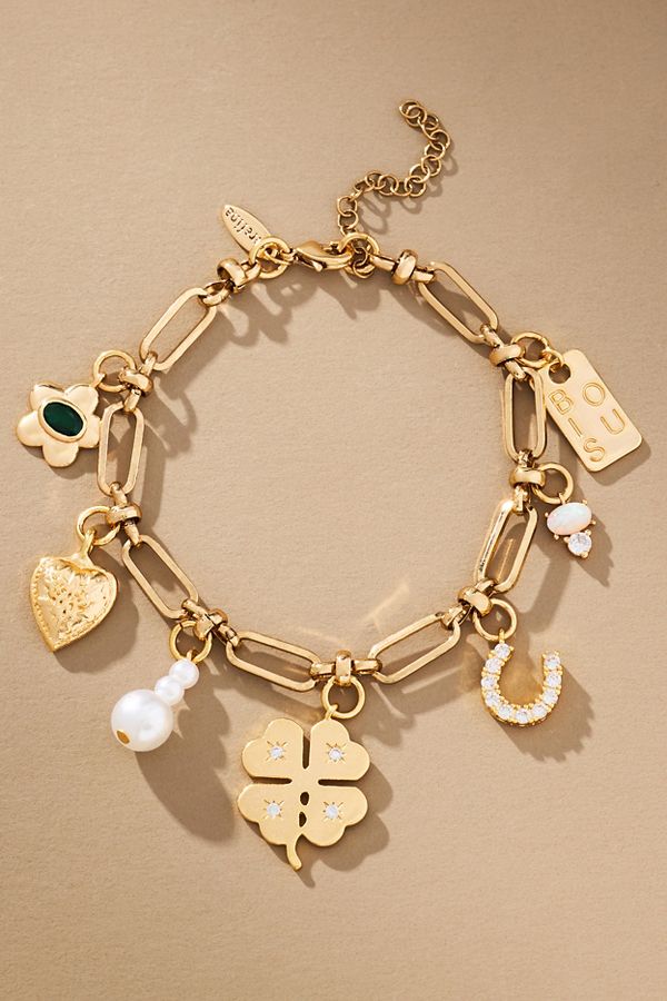 Vista de diapositivas: 1: Mixed Charm Bracelet