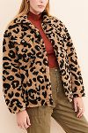 Thumbnail View 1: Apparis Tiarra Leopard Teddy Bear Jacket