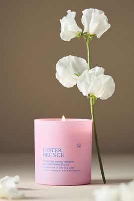 Anecdote Easter Brunch Champagne & Orange Zest Boxed Candle