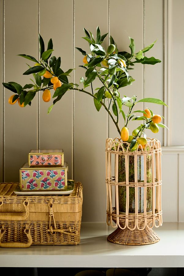 Slide View: 1: Rattan Caged Vase