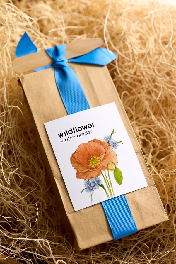 Slide View: 1: Wildflower Garden Seed Scatter