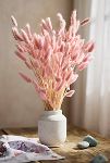 Thumbnail View 1: Preserved Pink Bunny Tails Bunch