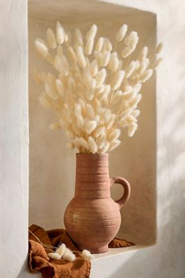 Preserved Ivory Bunny Tails Bunch