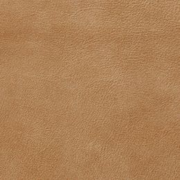 Nubuck Leather in Almond