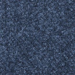 Performance Wool in Iolite