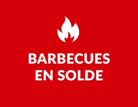 Barbecues en solde