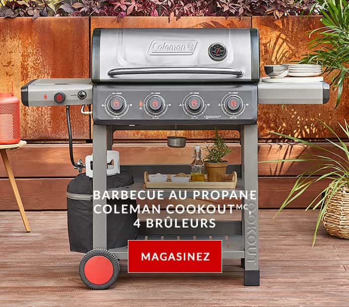 Tendances barbecue Meilleurs barbecues 2020 Canadian Tire