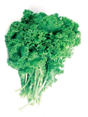 Fresh Curly Leaf Mustard Greens, Each | Central Market - Really Into Food