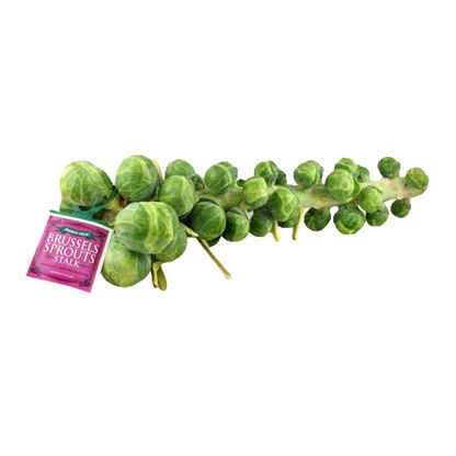 Fresh Brussels Sprouts Stalk, Each