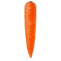 ★87MM★ Mmlg BEACH FAV HFT WILD CARROT Fresh Carrots | Joe V's Smart Shop | Low Prices & Quality