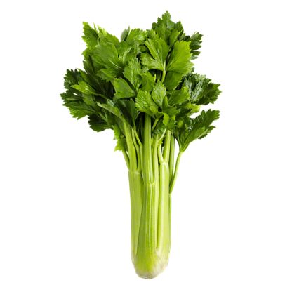 Fresh Celery Stalks, lb – Central Market