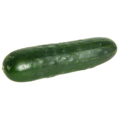 【cucumber】 02159_HV.jpg