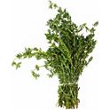 Thyme