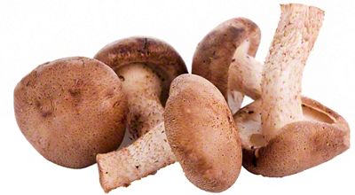 Shiitake Bulk Fresh - Mousam Valley Mushrooms