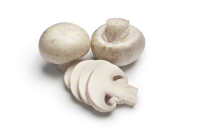 mushroom　0120 Amazon.com : ZQDFLME Still-Air-Box Portable Mycology