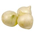 Bloom's Potato Stix Onion Garlic, 6 Oz - Skopps Supermarket - Kosher  Grocery Delivery in Fallsburg