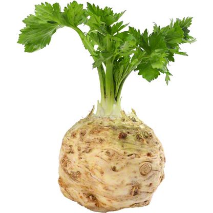 celery root