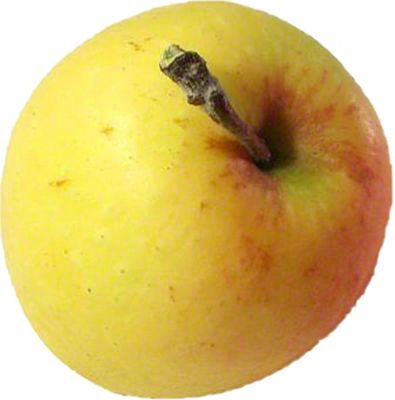 Small Golden Delicious Apple – Each, Small/ 1 Count - Food 4 Less