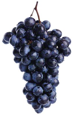 grape ブラック　M GRAPE Get Midnight Beauty Seedless Grape Delivered | Weee! Asian