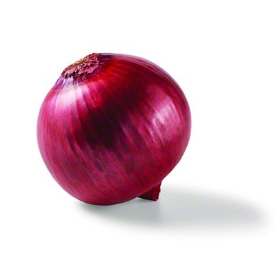 Red Onion Press