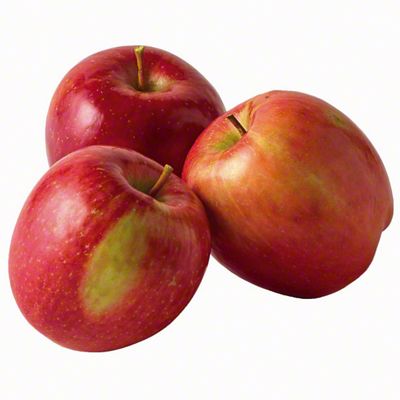年末セール　Designed by Apple in California 大 Apple 'Fuji' — Green Acres Nursery & Supply
