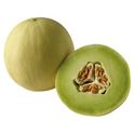 Honeydew Melon Information and Facts