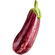 eggplantページ Ping Tung Long Eggplant - Thresh Seed Co.
