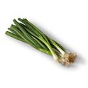 Fresh Zucchini Squash | Joe V's Smart Shop | Low Prices