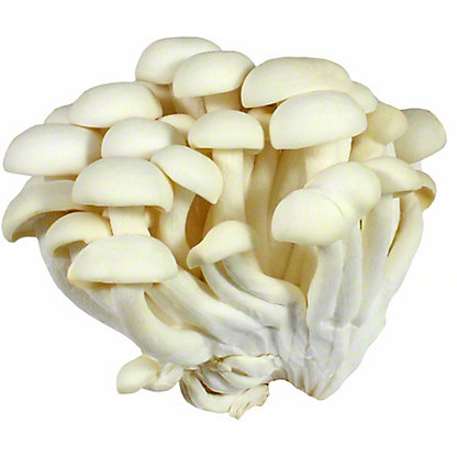 Fresh Alba Clamshell Mushroom, Sold by the pound – Central Market