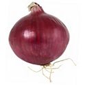 Buy Fresh Vegetable Onions Red Organic online at