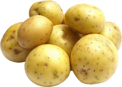 Organic Yukon Gold Potatoes | Central Market - Really Into Food