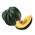 acorn様分です Fresh White Acorn Squash | Central Market - Really Into Food