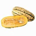 acorn様分です Acorn Squash PLU #4750 Label (per lb) Delivery or Pickup