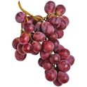 Red Seedless Grapes, Shop