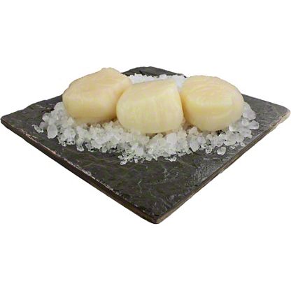 Fresh U 10 Atlantic Sea Scallops By Lb Central Market