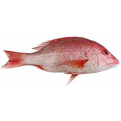 Whole American Red Snapper  Central Market - Really Into Food