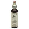 洋書 The Bach Flower Remedies The Bach Remedies Workbook: A Study Course in the Bach