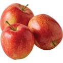 Organic Gala Apples (5 lbs.)