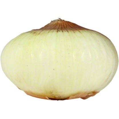 0day onion
