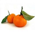 Fresh Mandarins, 4 LB  Central Market - Really Into Food